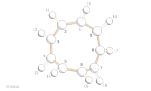 Schakal-Grafik Beispiel3.png